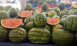 Hakkari Ticaret Müdürlüğü’nden karpuz duyurusu