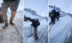Hakkari’de karla mücadele: çobanlara hedik ile ulaşıldı