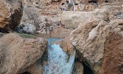 Mardin’de GAP Şelalesi 2 yıl sonra akmaya başladı