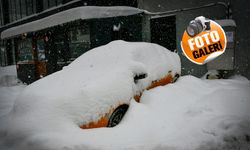 Hakkari'de araçlar ve evler kara gömüldü