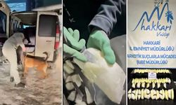 Hakkari’de 28 Kilo 600 gram metamfetamin ele geçirildi