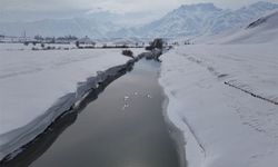 Yüksekova'da ördekler buz tutan derede yüzdü
