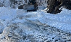 Kar ve çığla mücadele: Şırnak’ta yollar açıldı
