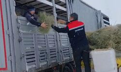 Tipide kalan hayvanlara saman ve ot desteği