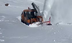 Türkiye’nin en yüksek mahallesine ulaşım sağlandı