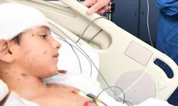 Köpek saldırısı davasında 5 milyon lira tazminat