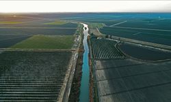 Tarım Yatırımlarında Öncelik Sulama Projeleri