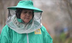 Kadın arıcı ata mesleğini 45 yıldır sürdürüyor