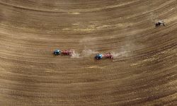 Tarım sayımının yüzde 90'ı tamamlandı