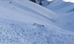 Doğu Karadeniz ve Doğu Anadolu için çığ uyarısı