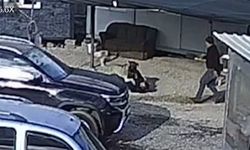Beslediği köpeğin saldırısına uğradı