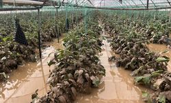 Kumluca’da sağanak sonrası hasar tespiti başladı