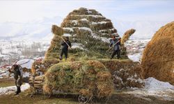 Kar ve soğuk kırsal yaşamı zorlaştırıyor