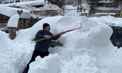 Küreliler kar altında kalan araçlarını arıyor