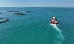 Türkiye’de balık üretiminde tarihi rekor