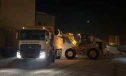 Yüksekova Belediyesi'nden karla mücadele çalışması