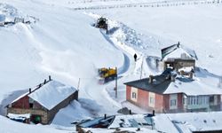 Van'da 1,5 metreyi bulan karla mücadele