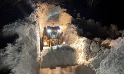 Yüksekova'da çığın kapattığı köy yolu açıldı