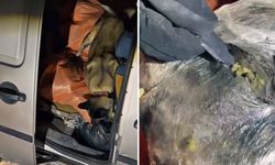 Hakkari'de 30 kilogram yasaklı madde ele geçirildi