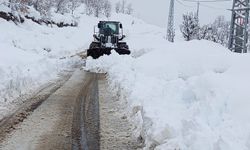 Hakkari'de 246 köy ve mezra yolu ulaşıma kapandı
