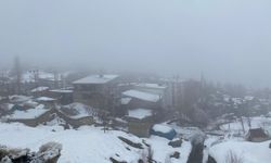 Hakkari’de yağış ve sis etkili oluyor