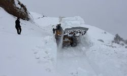 Hakkari'de çığ nedeniyle kapanan yol, 2 ay sonra açıldı
