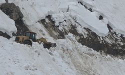 Cevizdibi Köy yolu ulaşıma açıldı