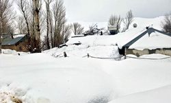 Van’ın  kırsal mahallelerinde evler kara gömüldü