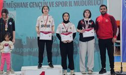 Hakkâri bilek güreşinde bölgeye damga vurdu