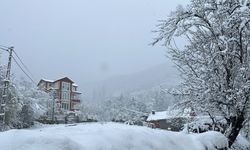 Doğu Karadeniz'de 371 köy ve mahalle yolu kardan kapandı