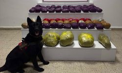 Van'da  31 kilo yasaklı madde ele geçirildi