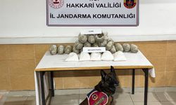 Hakkari’de 22 kilo yasaklı madde ele geçirildi