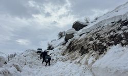 Hakkari köy yoluna çığ düştü; köylüler yolda kaldı