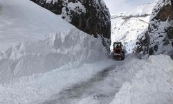 Meteorolojiden Hakkari için uyarı