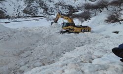 Van'da çığın kapattığı mezra yolunda zorlu mücadele