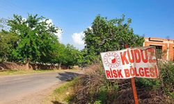 4 mahalle ‘kuduz risk bölgesi’ ilan edildi