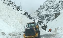 Hakkari- Çukurca yolunda 3 noktaya çığ düştü