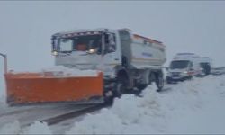 İneğin darbesiyle burnu kırılan genç hastaneye ulaştırıldı