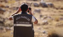 Van’da kaçak avcılık denetiminde 8 kişiye işlem