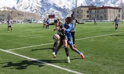 Hakkarigücü evinde Beşiktaş'a yenildi