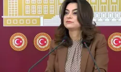 Koçyiğit: Barış yasaları ivedilikle çıkmalı