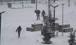 Van'da kardan 40 yerleşim yeri ulaşıma kapandı