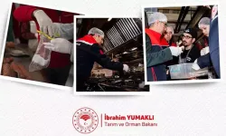 Gıda denetimlerinde 1815 işletmeye ceza