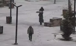 Van’da kar ve sis: 141 yerleşim yerine ulaşım yok