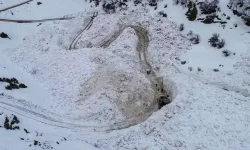 Çatak’ta çığın kapattığı mezra yolu 13 gün sonra açıldı