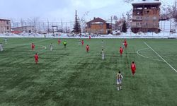 Hakkari Spor FK evinde hata yapmadı
