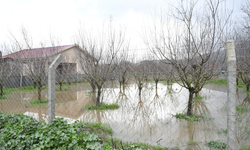 Evlerin bahçeleri ve tarım arazileri su altında kaldı