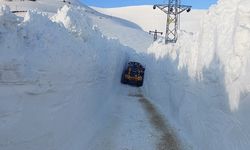 Hakkari, Van ve Bitlis'te kar ulaşımı aksattı