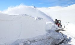 Ağrı-Kağızman yolunda kar kaplanları görevde