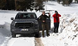 Uydu vericisi takılan kurtların kardaki izleri inceleniyor